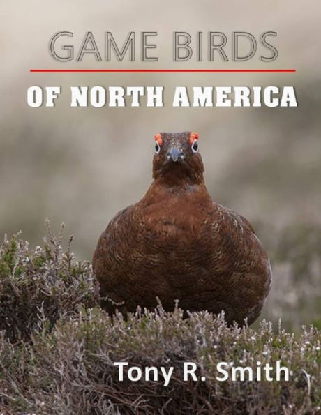 Game Birds of North America: A Complete Guide ( Includes Wild Game Recipes)