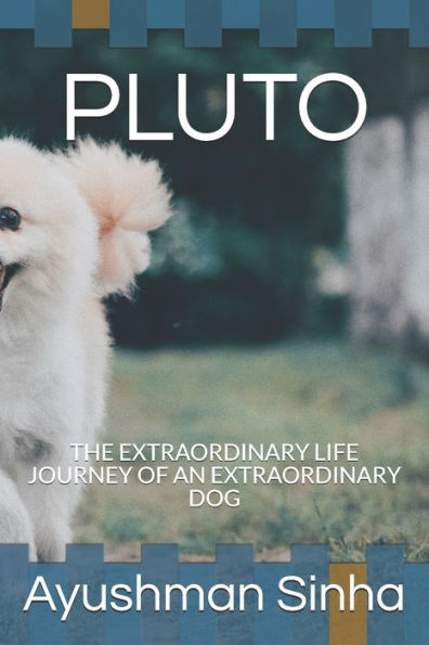 PLUTO: THE EXTRAORDINARY LIFE JOURNEY OF AN EXTRAORDINARY DOG