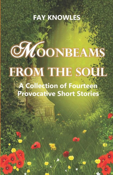 Moonbeams from the Soul: A Collection of Fourteen Provocative Short Stories