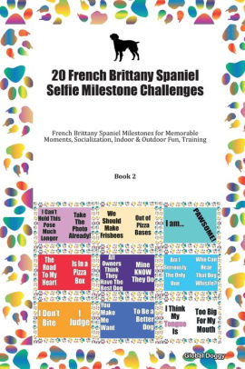 20 French Brittany Spaniel Selfie Milestone Challenges 20 French Brittany Spaniel Selfie