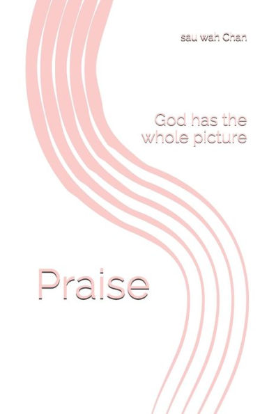 Praise: God has the whole picture