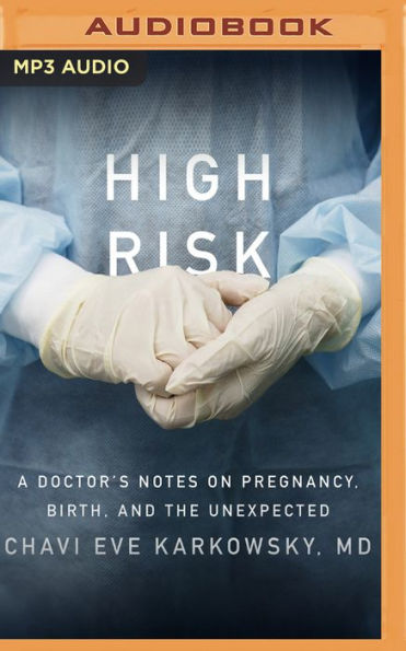 High Risk: A Doctor's Notes on Pregnancy, Birth, and the Unexpected