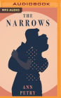 The Narrows: A Novel