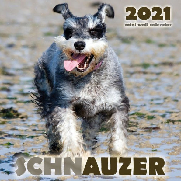 Schnauzer 2021 Mini Wall Calendar