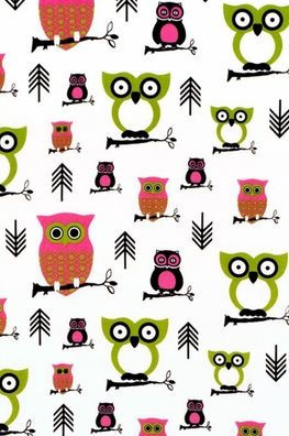 Owl Lovers Notebook: Blank Notebook Sketchbook