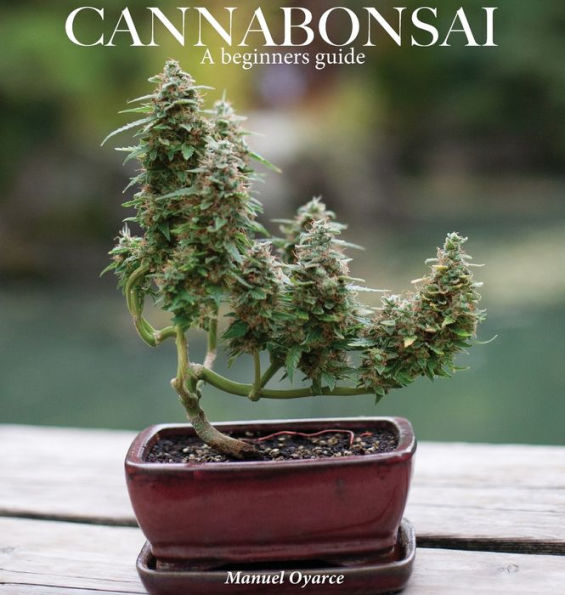 Cannabonsai: : A Beginners Guide