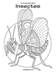 Title: Livre de coloriage pour adultes Insectes 1 & 2, Author: Nick Snels