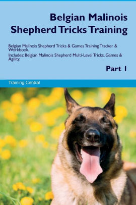 Belgian Malinois Shepherd Tricks Training Belgian Malinois Shepherd Tricks Games Training Tracker Workbook Includes Belgian Malinois Shepherd Multi Level Tricks Games Agility Part 1 By Training Central Paperback Barnes