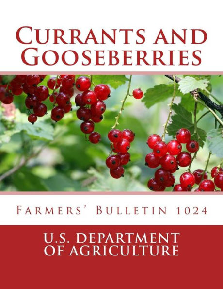 Currants and Gooseberries: Farmers' Bulletin 1024