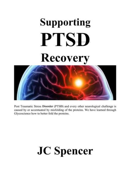 Supporting PTSD Recovery