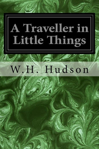 A Traveller in Little Things