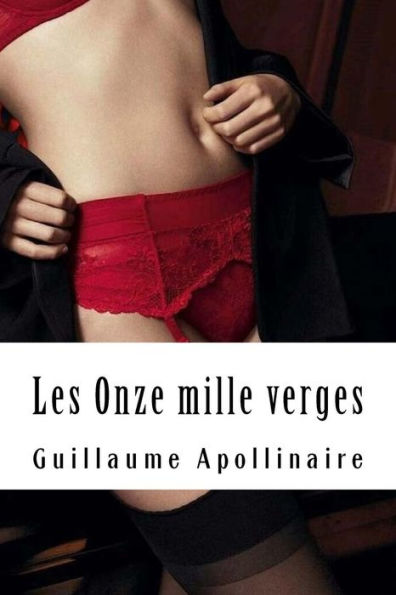 les Onze mille verges: ou Amours d'un hospodar