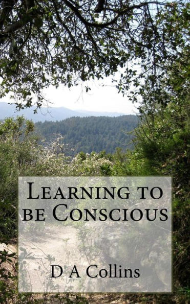 Learning to be Conscious