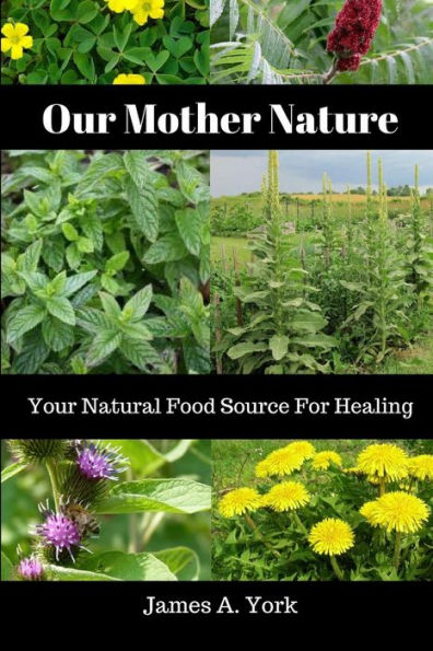 Our Mother Nature: Your Natural Food Source For Healing