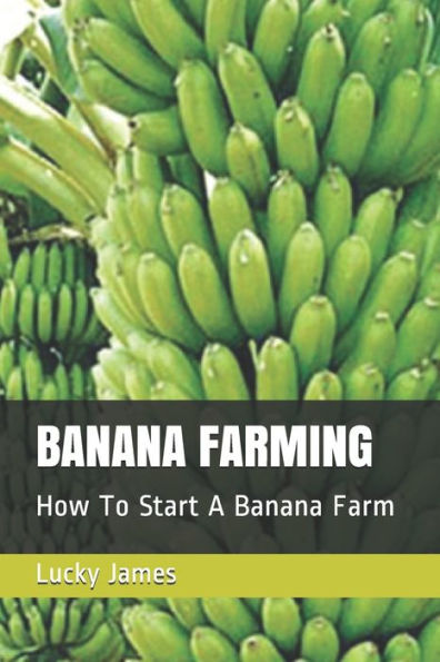 BANANA FARMING: How To Start A Banana Farm