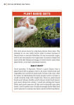 Alternative view 4 of Diet Lies and Weight Loss Truths