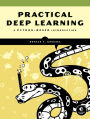 Practical Deep Learning: A Python-Based Introduction