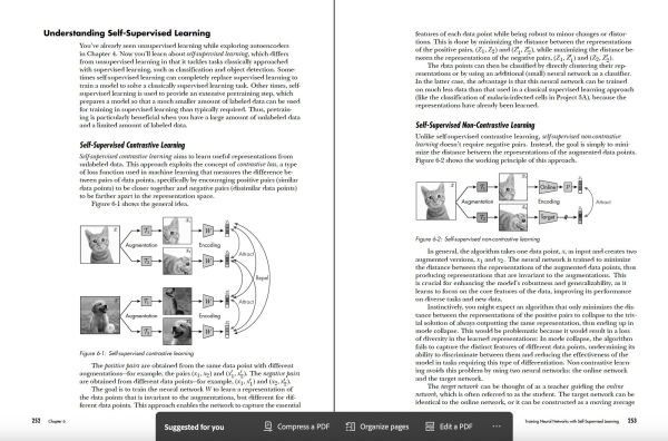 Deep Learning Crash Course