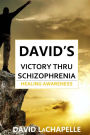 David's Victory Thru Schizophrenia: Healing Awareness