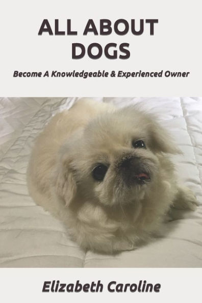 All About Dogs: Become A Knowledgeable & Experienced Owner