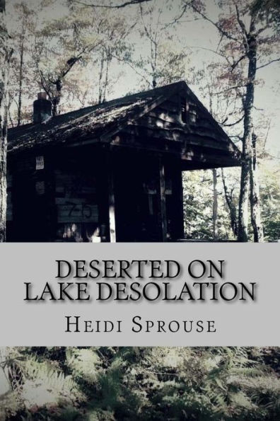 Deserted on Lake Desolation: Book Four in the Lost in the Adirondacks Series