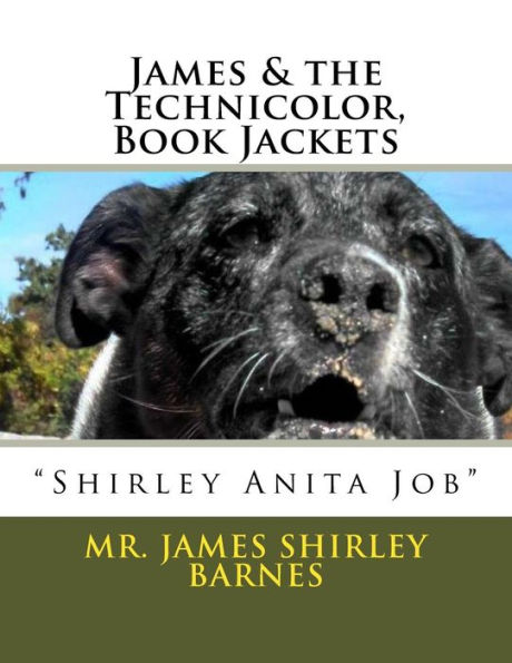 James & the Technicolor, Book Jackets: James "Shirley Anita Job" Barnes