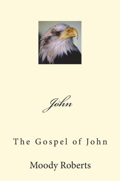 John: The Gospel of John