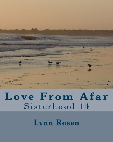 Love From Afar: Sisterhood 14