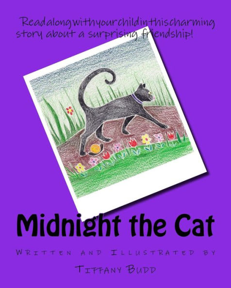 Midnight the Cat
