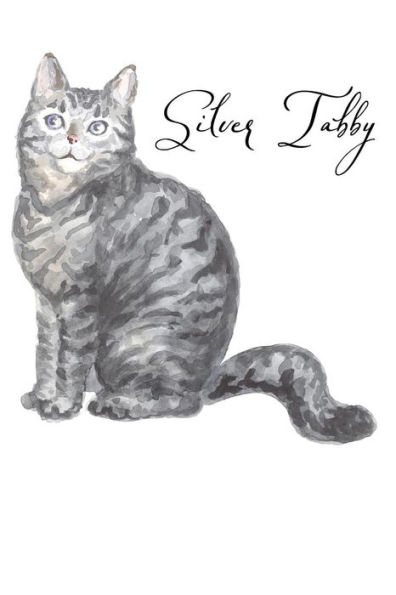 Silver Tabby