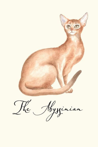 The Abyssinian