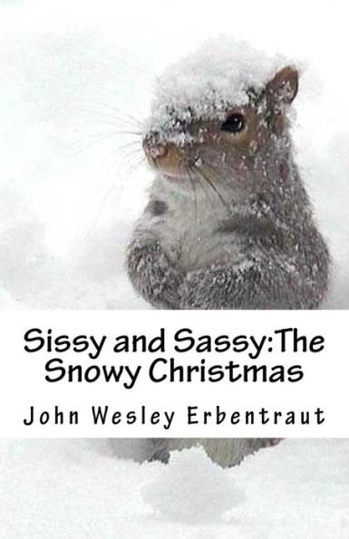 Sissy and Sassy: The Snowy Christmas