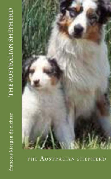 The Australian shepherd