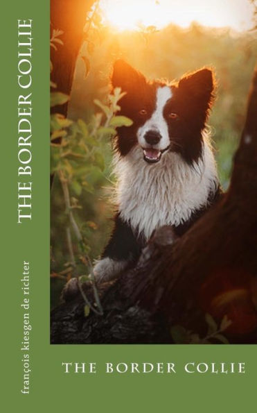 the border collie: the border collie
