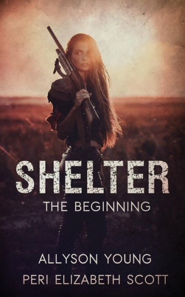 Shelter: The Beginning