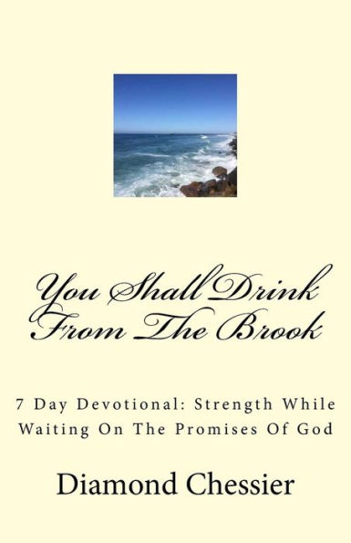 You Shall Drink From The Brook: 7 Day Devotional: Strength While Waiting On The Promises Of God