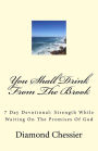 You Shall Drink From The Brook: 7 Day Devotional: Strength While Waiting On The Promises Of God