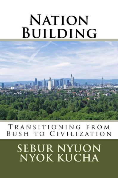 Nation Building: Transitioning from Bush to Civilization