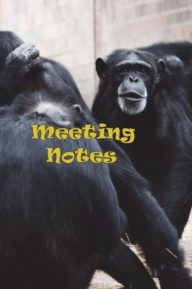 Meeting Notes