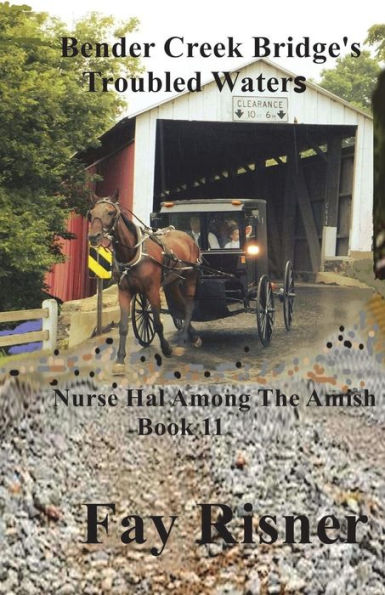 Bender Creek Bridge's Troubled Waters: Nurse Hal Among The Amish