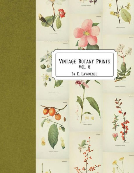 Vintage Botany Prints: Vol