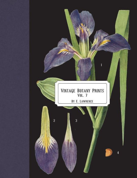 Vintage Botany Prints: Vol.7