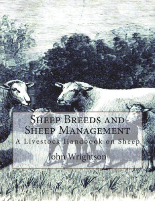 Sheep Breeds and Sheep Management: A Livestock Handbook on Sheep by ...