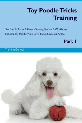 toy poodle training