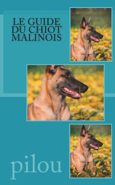 Le guide du chiot malinois