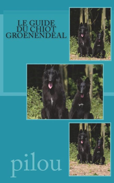 Le guide du chiot groenendeal