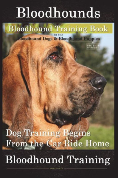 Bloodhounds, Bloodhound Training Book For both Bloodhound Dogs & Bloodhound Puppies By D!G THIS DOG Training: Dog Training Begins From the Car Ride Home Bloodhound Training