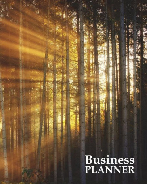 Business Planner: 8" x 10" - Planner, Organizer and Record-Keeper - Trees of Light