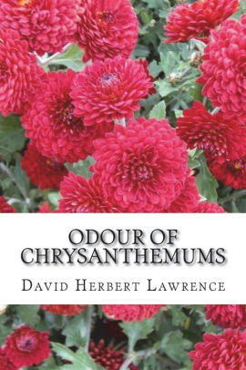 Odour Of Chrysanthemums By David Herbert Lawrence, Paperback | Barnes ...