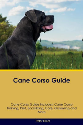 Cane Corso Guide Cane Corso Guide Includes Cane Corso Training Diet Socializing Care Grooming Breeding And Morepaperback